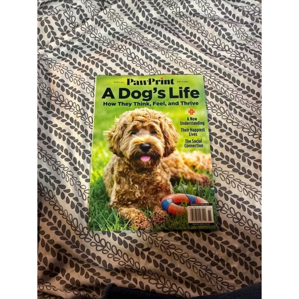 Paw Print Special Edition A Dog’s Life How They Think Feel And Thrive Magazine